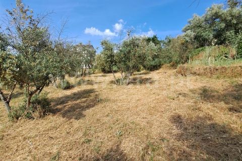 Helårsgrund i Covilha, Castelo Branco, Covilha - € 14.500 | Ref: 394240116 - foto 6