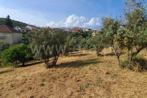 Helårsgrund i Covilha, Castelo Branco, Covilha - € 14.500 | Ref: 394240116 - foto 8