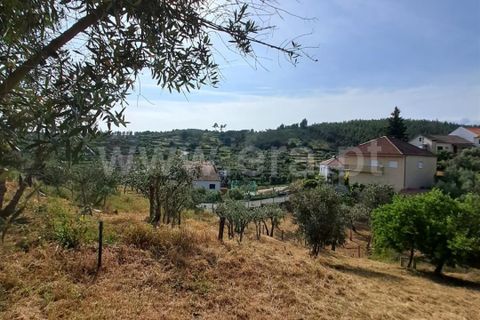 Helårsgrund i Covilha, Castelo Branco, Covilha - € 14.500 | Ref: 394240116 - foto 14