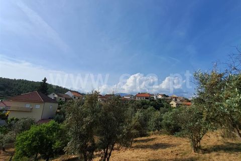 Helårsgrund i Covilha, Castelo Branco, Covilha - € 14.500 | Ref: 394240116 - foto 15