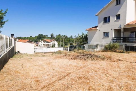 Terra a Santa Comba Dao, Viseu, Santa Comba Dao - € 35.000 | Ref: 394230188 - foto 2