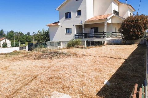 Terra a Santa Comba Dao, Viseu, Santa Comba Dao - € 35.000 | Ref: 394230188 - foto 3