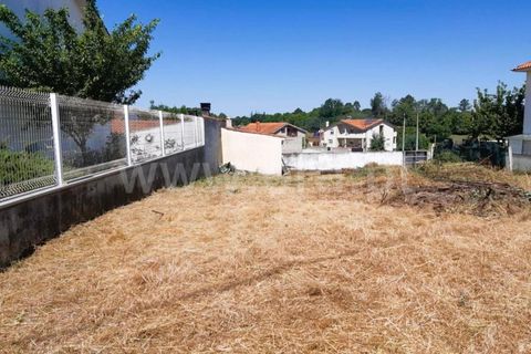Terra a Santa Comba Dao, Viseu, Santa Comba Dao - € 35.000 | Ref: 394230188 - foto 4
