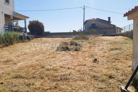 Terra a Santa Comba Dao, Viseu, Santa Comba Dao - € 35.000 | Ref: 394230188 - foto 5