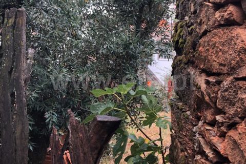 Villa i Covilha, Castelo Branco, Covilha - € 32.500 | Ref: 394240104 - foto 14