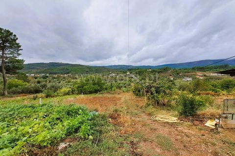 Helårsgrund i Covilha, Castelo Branco, Covilha - € 60.000 | Ref: 394240092 - foto 8