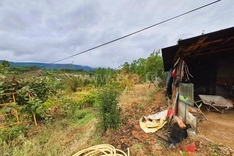 Helårsgrund i Covilha, Castelo Branco, Covilha - € 60.000 | Ref: 394240092 - foto 9