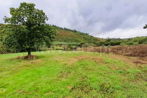 Helårsgrund i Covilha, Castelo Branco, Covilha - € 40.000 | Ref: 394240102 - foto 7