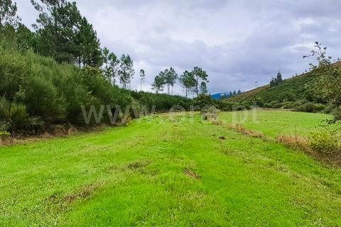 Helårsgrund i Covilha, Castelo Branco, Covilha - € 40.000 | Ref: 394240102 - foto 8