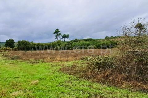Helårsgrund i Covilha, Castelo Branco, Covilha - € 40.000 | Ref: 394240102 - foto 9