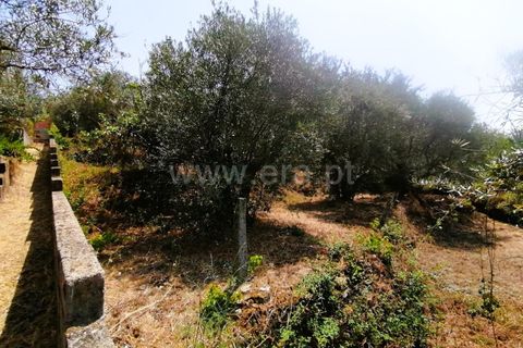 Villa i Covilha, Castelo Branco, Covilha - € 50.000 | Ref: 394240103 - foto 8