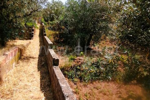 Villa i Covilha, Castelo Branco, Covilha - € 50.000 | Ref: 394240103 - foto 9