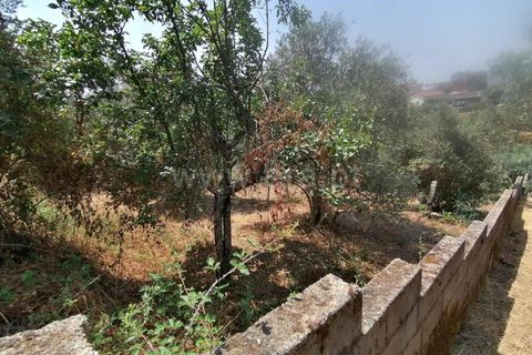 Villa i Covilha, Castelo Branco, Covilha - € 50.000 | Ref: 394240103 - foto 17
