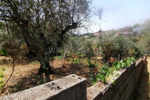 Villa i Covilha, Castelo Branco, Covilha - € 50.000 | Ref: 394240103 - foto 19