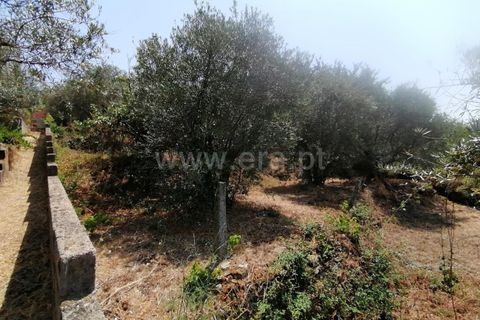 Villa i Covilha, Castelo Branco, Covilha - € 50.000 | Ref: 394240103 - foto 20