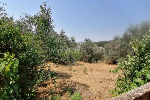Villa i Covilha, Castelo Branco, Covilha - € 50.000 | Ref: 394240103 - foto 21