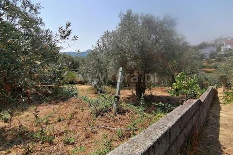 Villa i Covilha, Castelo Branco, Covilha - € 50.000 | Ref: 394240103 - foto 25