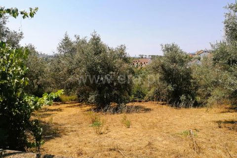 Villa i Covilha, Castelo Branco, Covilha - € 50.000 | Ref: 394240103 - foto 26
