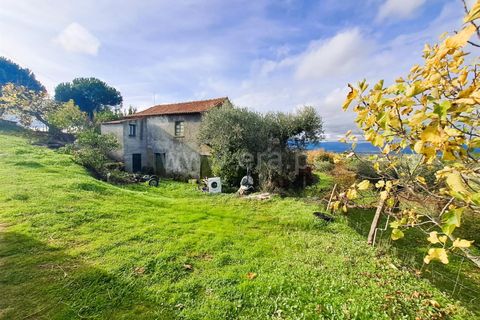 Landejendom i Belmonte, Castelo Branco, Belmonte - € 55.000 | Ref: 394240110 - foto 1
