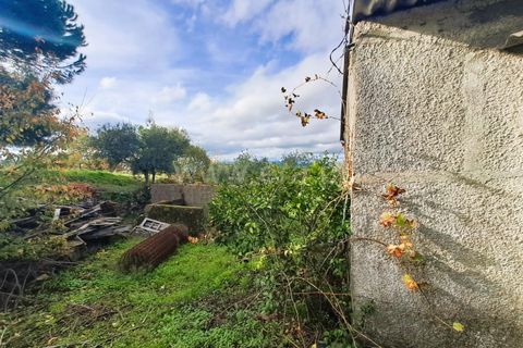 Landejendom i Belmonte, Castelo Branco, Belmonte - € 55.000 | Ref: 394240110 - foto 3