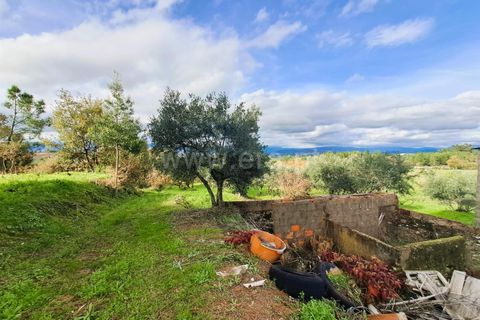 Landejendom i Belmonte, Castelo Branco, Belmonte - € 55.000 | Ref: 394240110 - foto 7