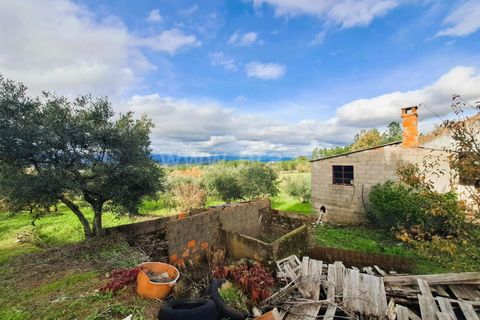 Landejendom i Belmonte, Castelo Branco, Belmonte - € 55.000 | Ref: 394240110 - foto 8