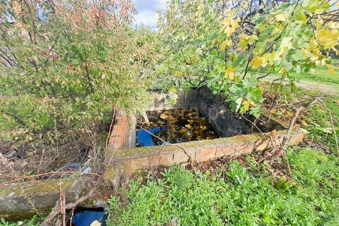 Landejendom i Belmonte, Castelo Branco, Belmonte - € 55.000 | Ref: 394240110 - foto 9