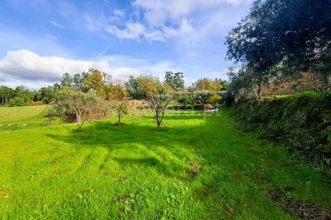 Landejendom i Belmonte, Castelo Branco, Belmonte - € 55.000 | Ref: 394240110 - foto 10