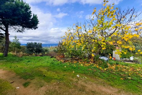 Landejendom i Belmonte, Castelo Branco, Belmonte - € 55.000 | Ref: 394240110 - foto 11