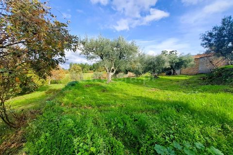 Landejendom i Belmonte, Castelo Branco, Belmonte - € 55.000 | Ref: 394240110 - foto 12
