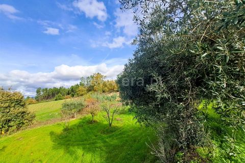 Landejendom i Belmonte, Castelo Branco, Belmonte - € 55.000 | Ref: 394240110 - foto 13