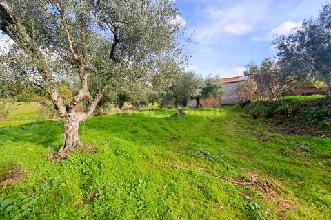 Landejendom i Belmonte, Castelo Branco, Belmonte - € 55.000 | Ref: 394240110 - foto 14