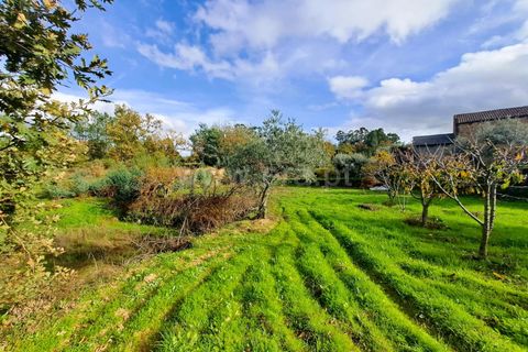 Landejendom i Belmonte, Castelo Branco, Belmonte - € 55.000 | Ref: 394240110 - foto 15