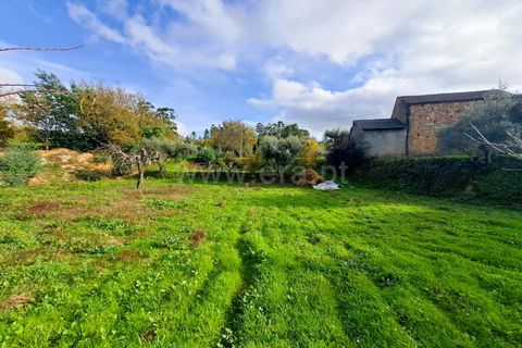 Landejendom i Belmonte, Castelo Branco, Belmonte - € 55.000 | Ref: 394240110 - foto 16