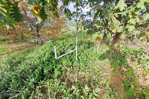 Landejendom i Belmonte, Castelo Branco, Belmonte - € 55.000 | Ref: 394240110 - foto 17