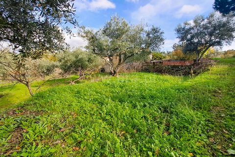 Landejendom i Belmonte, Castelo Branco, Belmonte - € 55.000 | Ref: 394240110 - foto 18