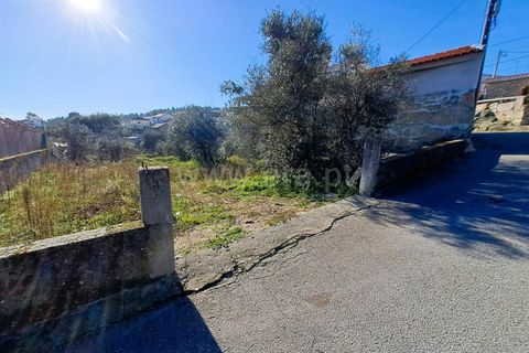 Helårsgrund i Covilha, Castelo Branco, Covilha - € 60.000 | Ref: 394250009 - foto 3