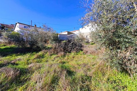 Helårsgrund i Covilha, Castelo Branco, Covilha - € 60.000 | Ref: 394250009 - foto 5
