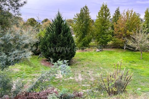 Helårsgrund i Covilha, Castelo Branco, Covilha - € 310.000 | Ref: 394230067 - foto 2