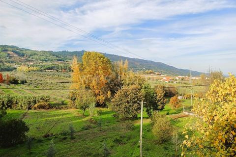 Landsbyhus i Covilha, Castelo Branco, Covilha - € 87.500 | Ref: 394240119 - foto 13