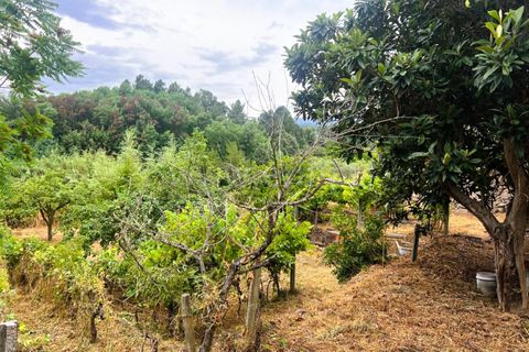 Landejendom i Covilha, Castelo Branco, Covilha - € 77.000 | Ref: 394250012 - foto 3