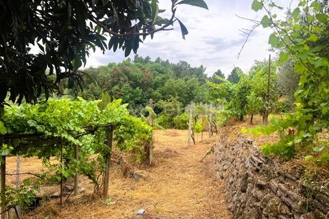 Landejendom i Covilha, Castelo Branco, Covilha - € 77.000 | Ref: 394250012 - foto 4