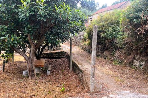 Landejendom i Covilha, Castelo Branco, Covilha - € 77.000 | Ref: 394250012 - foto 16