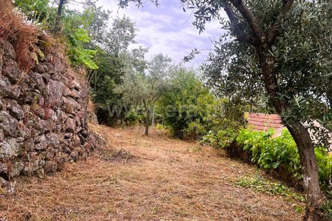 Landejendom i Covilha, Castelo Branco, Covilha - € 77.000 | Ref: 394250012 - foto 19