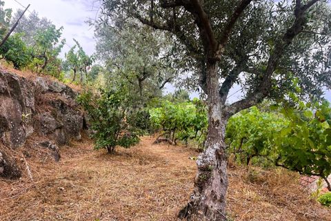 Landejendom i Covilha, Castelo Branco, Covilha - € 77.000 | Ref: 394250012 - foto 20