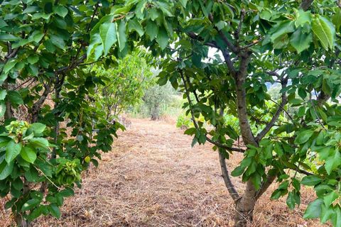 Landejendom i Covilha, Castelo Branco, Covilha - € 77.000 | Ref: 394250012 - foto 22