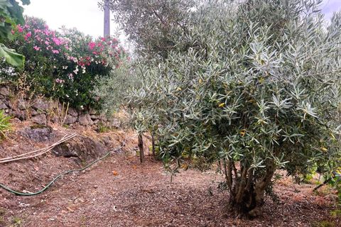 Landejendom i Covilha, Castelo Branco, Covilha - € 77.000 | Ref: 394250012 - foto 23