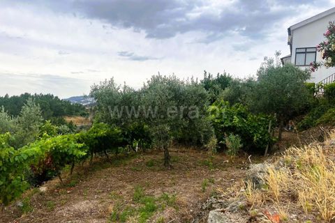 Landejendom i Covilha, Castelo Branco, Covilha - € 77.000 | Ref: 394250012 - foto 24