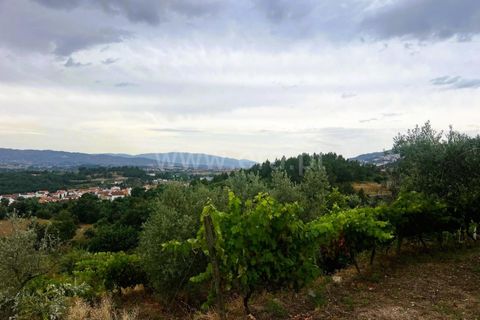 Landejendom i Covilha, Castelo Branco, Covilha - € 77.000 | Ref: 394250012 - foto 25