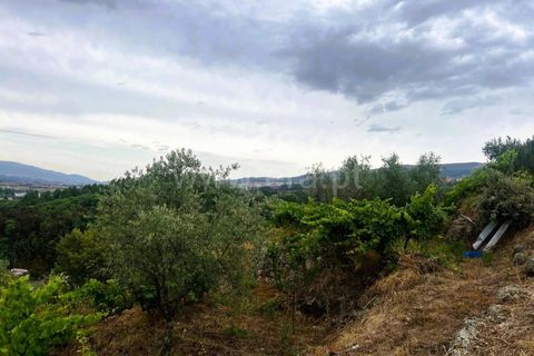 Landejendom i Covilha, Castelo Branco, Covilha - € 77.000 | Ref: 394250012 - foto 26